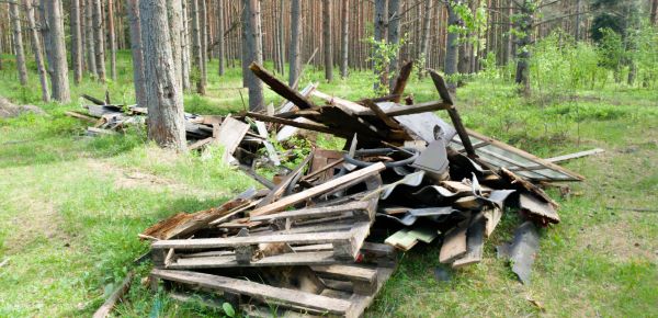 Debris Removal Service in Lewes