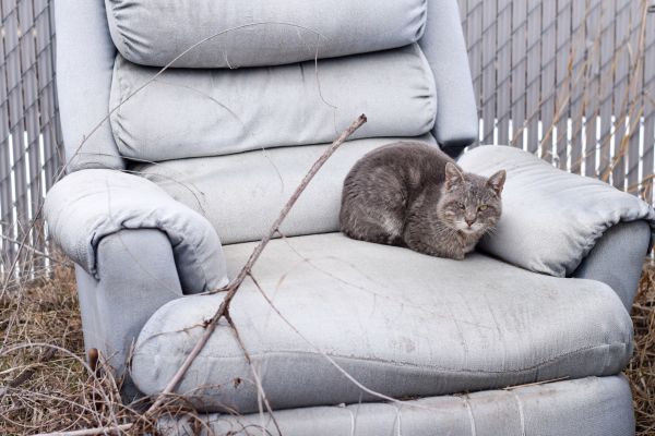 Recliner Disposal in Lewes