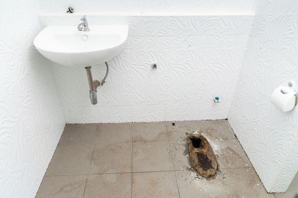 Toilet Disposal in Lewes